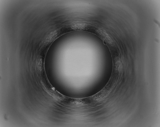 X0000097600498200802291246