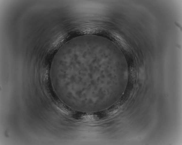X0000097600499200802291246