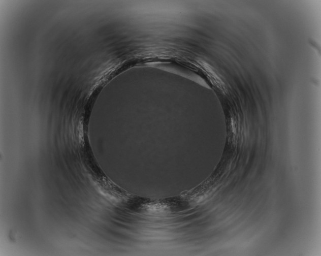 X0000097600500200802291246