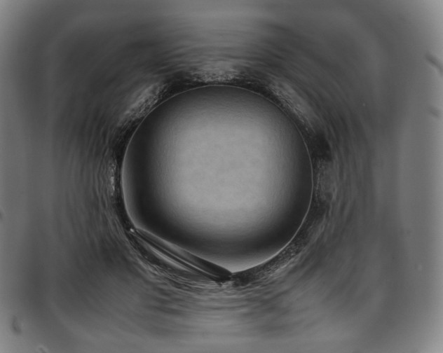 X0000097600501200802291246