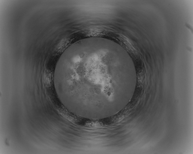 X0000097600503200802291246