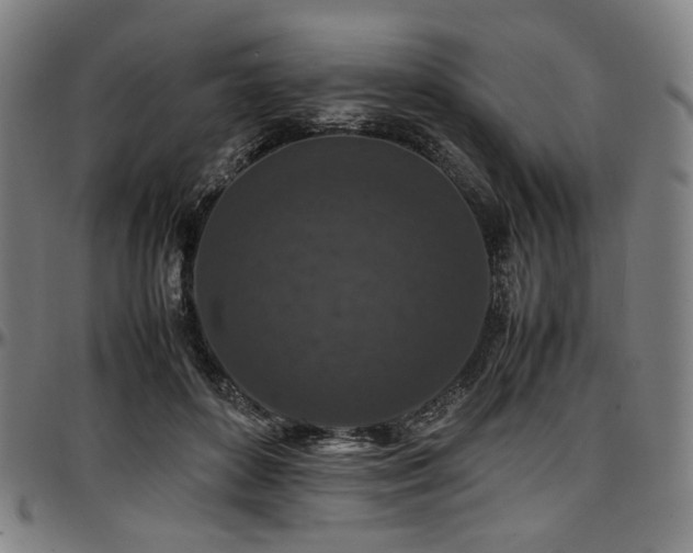 X0000097600504200802291246