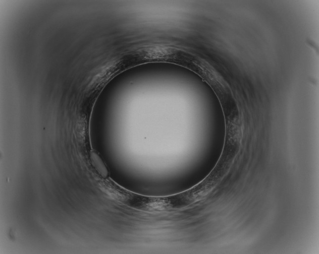 X0000097600505200802291246