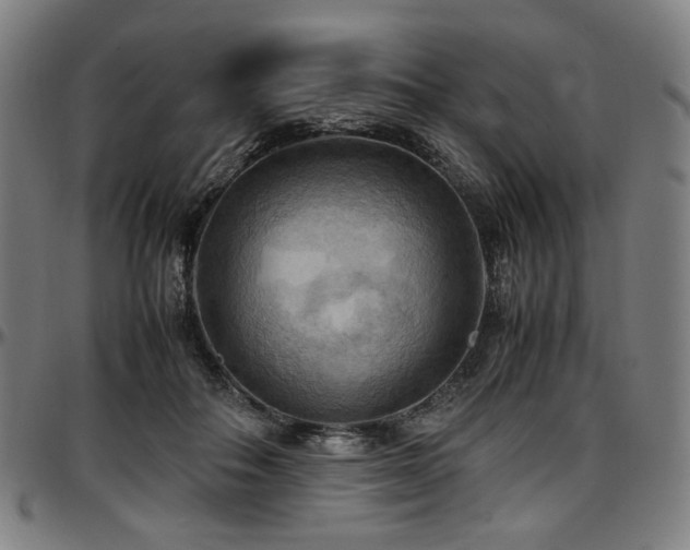X0000097600506200802291246