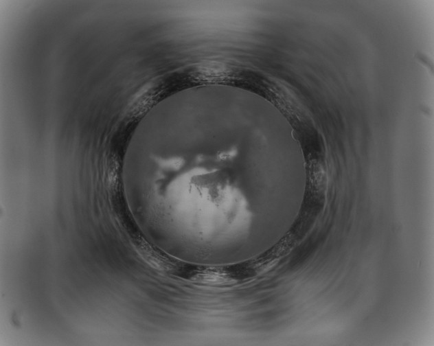X0000097600507200802291246