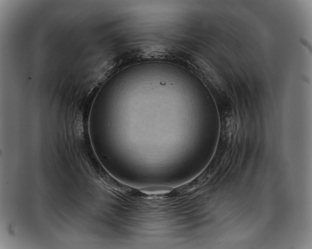 X0000097600508200802291246