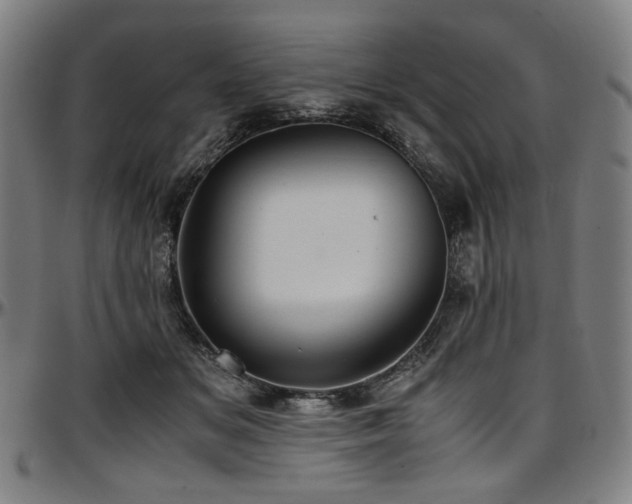 X0000097600509200802291246