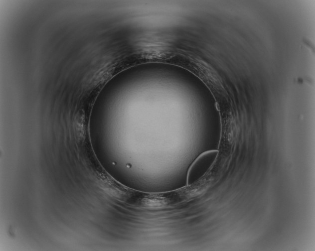 X0000097600510200802291246