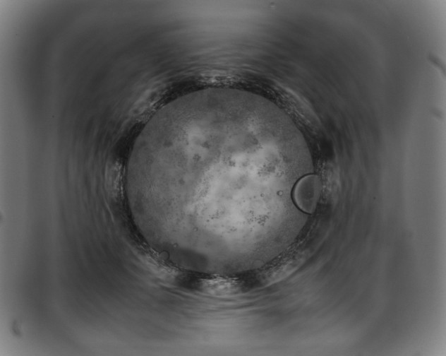 X0000097600511200802291246
