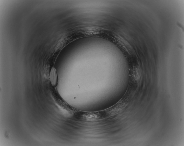 X0000097600512200802291246