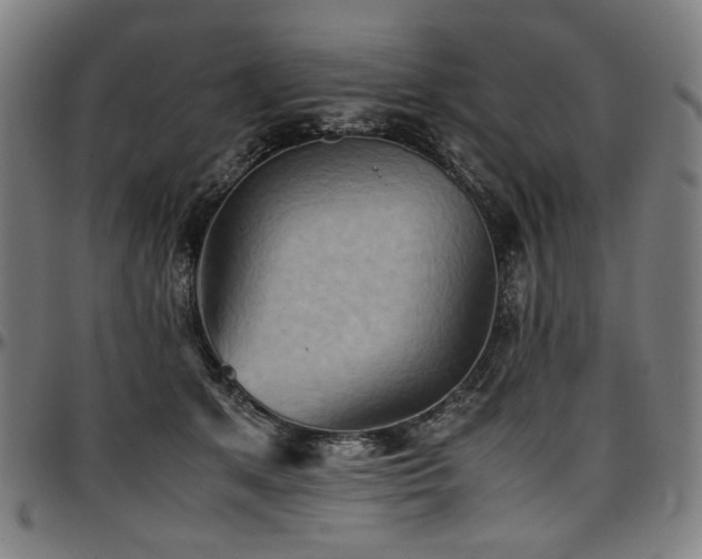 X0000097600513200802291246