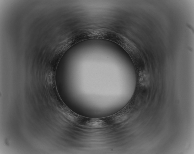 X0000097600514200802291246
