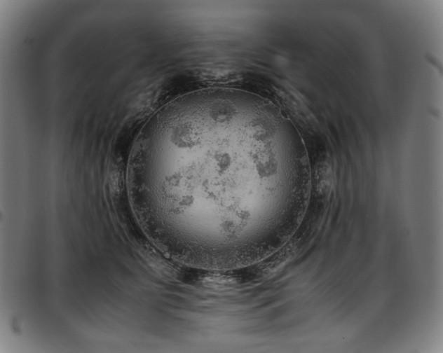 X0000097600515200802291246