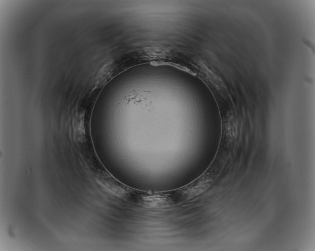 X0000097600516200802291246