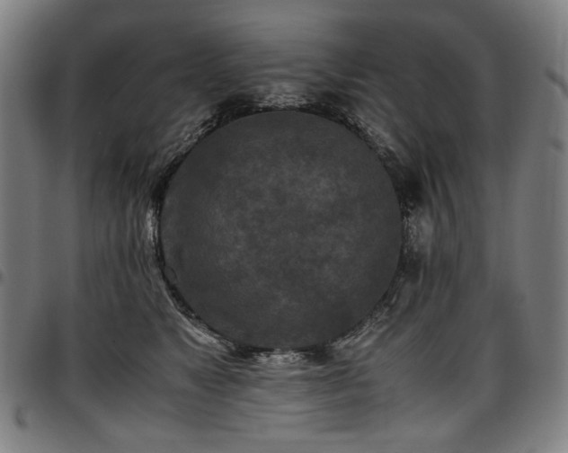 X0000097600517200802291246