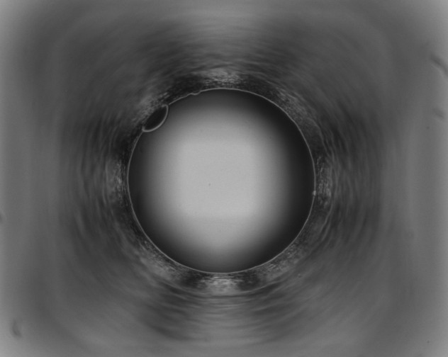 X0000097600518200802291246