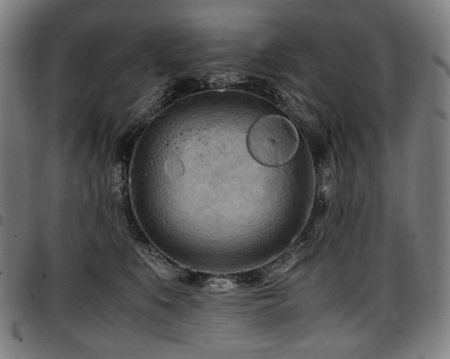 X0000097600519200802291246