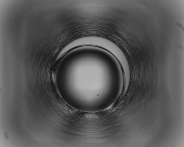 X0000097600520200802291246