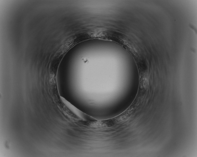 X0000097600521200802291246
