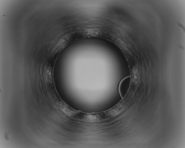 X0000097600522200802291246
