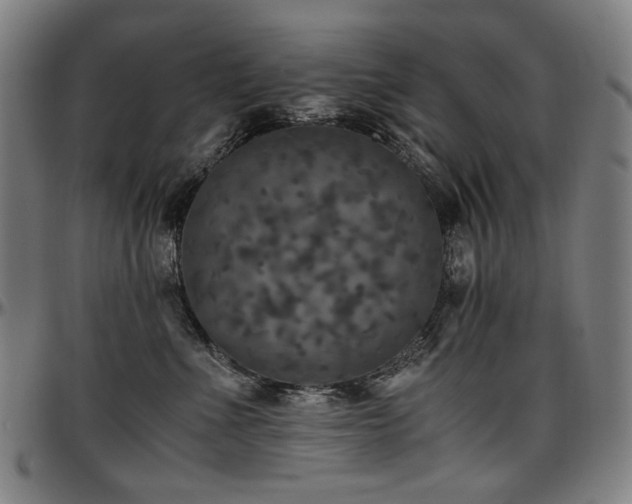 X0000097600523200802291246