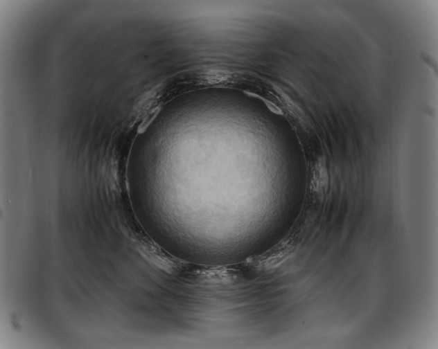 X0000097600524200802291246