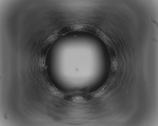 X0000097600525200802291246
