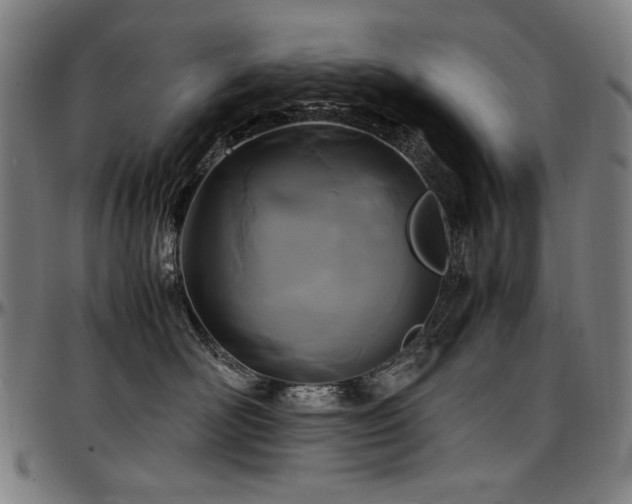 X0000097600526200802291246