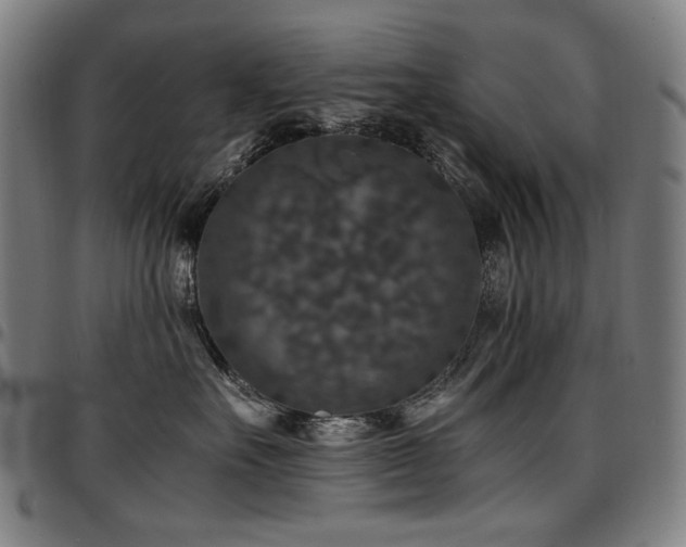 X0000097600527200802291246