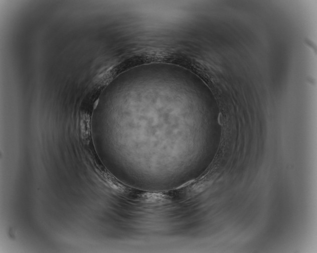 X0000097600528200802291246