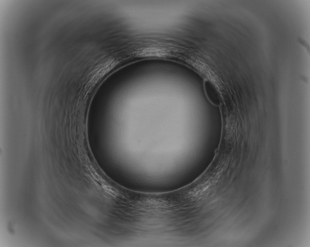 X0000097600529200802291245