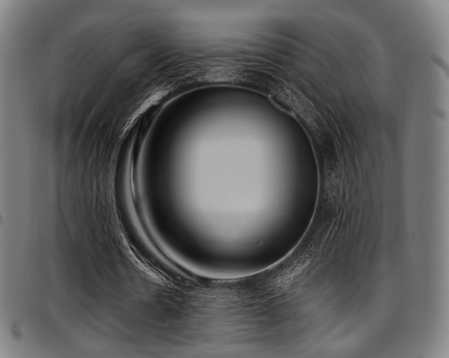X0000097600530200802291245