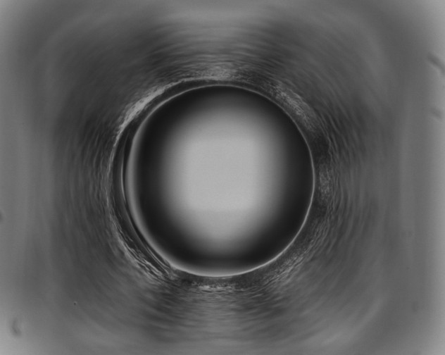 X0000097600532200802291245