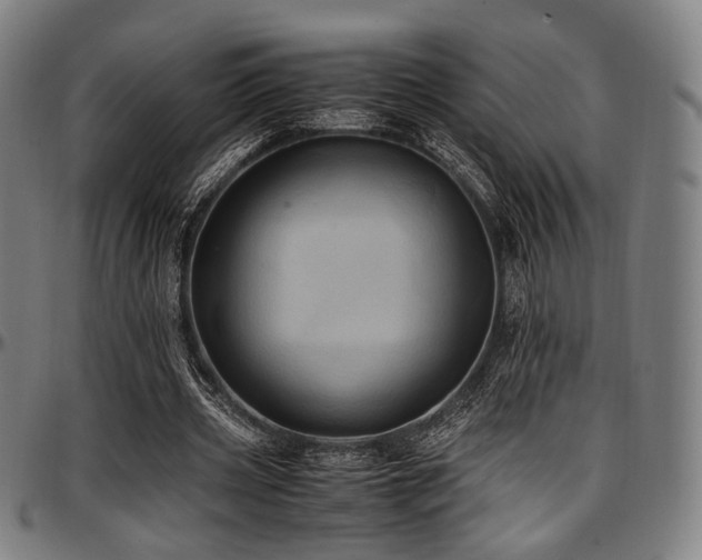 X0000097600533200802291245