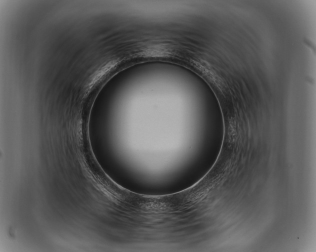 X0000097600535200802291245