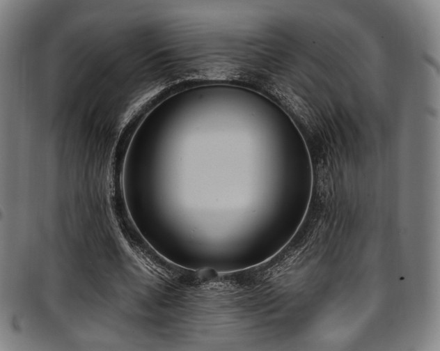 X0000097600536200802291245