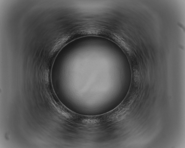 X0000097600537200802291245