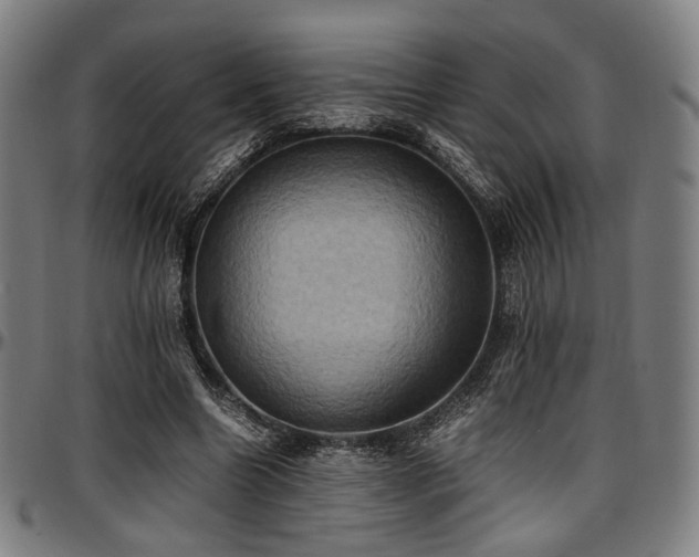 X0000097600538200802291245