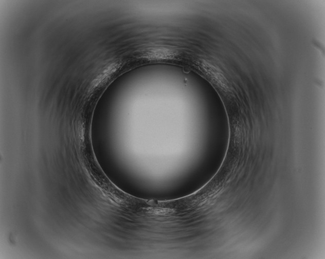 X0000097600539200802291245
