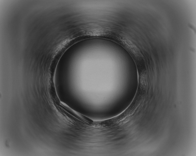 X0000097600540200802291245