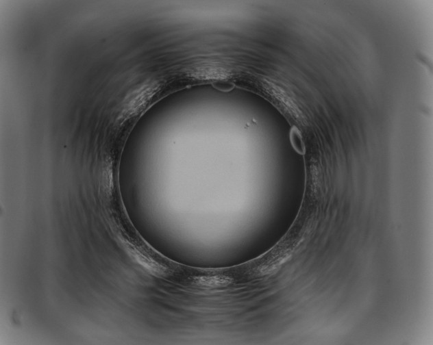 X0000097600541200802291246