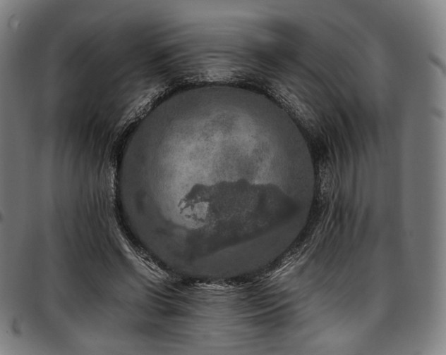 X0000097600542200802291246