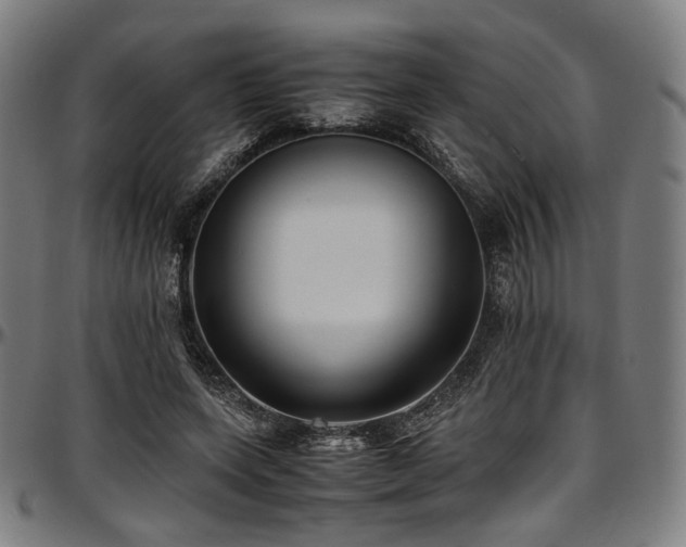 X0000097600543200802291246