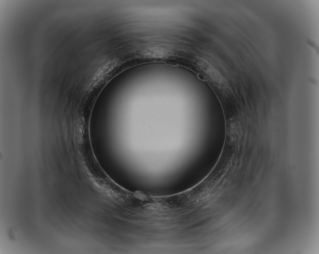 X0000097600544200802291246