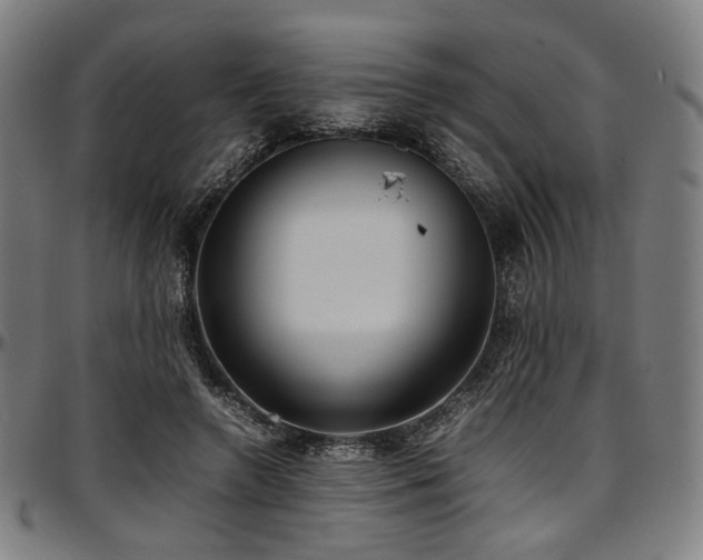 X0000097600546200802291246