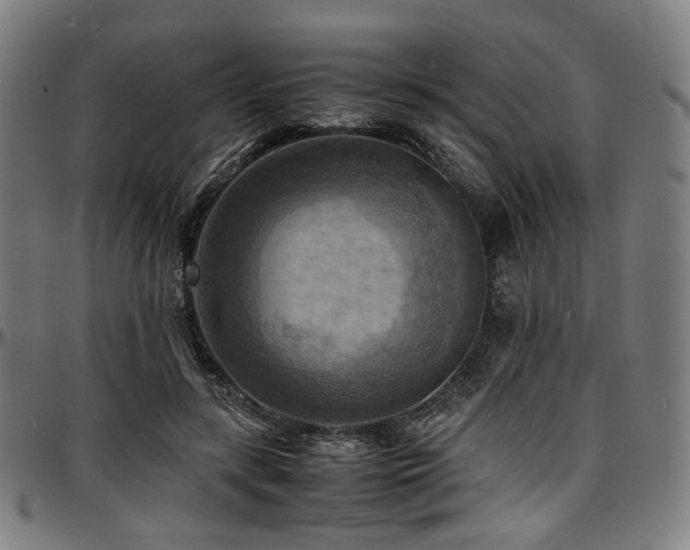 X0000097600547200802291246
