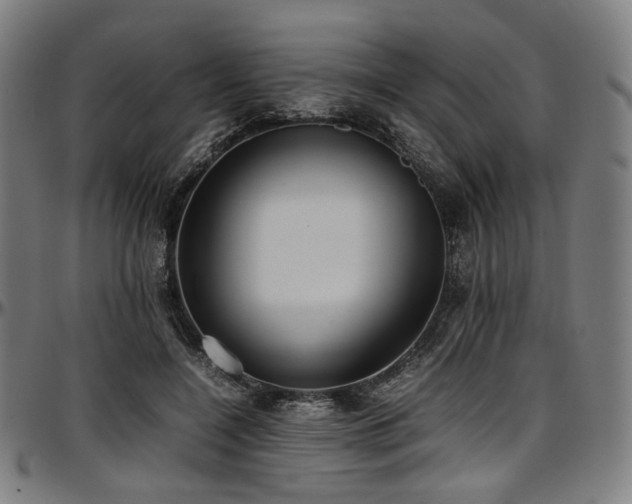X0000097600548200802291246