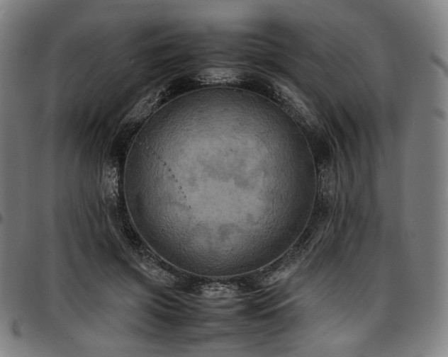X0000097600549200802291246