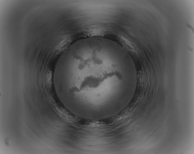 X0000097600550200802291246