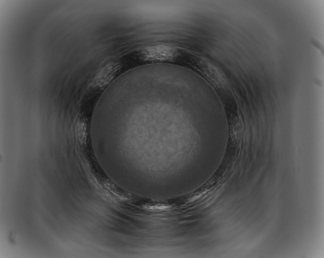 X0000097600551200802291246